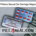 Píldora Sexual De Hormiga Negra 36